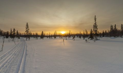 В Мурманск посрещнаха слънцето след 40 дни полярна нощ - 1