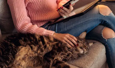 6 неочаквани причини защо котките следват стопаните си навсякъде - 1