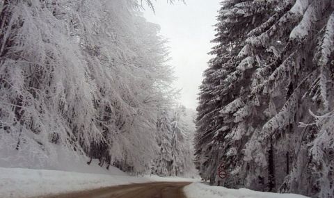 Първи сняг на "Петрохан" - 1