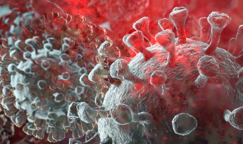 Учените са категорични: Човек не може два пъти да се зарази с коронавирус - 1