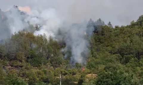 Two military helicopters participate in extinguishing the fire in Rila  - 1