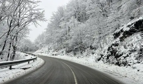Няма затворени пътища заради обилния снеговалеж