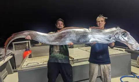 Fishermen caught a rare monster, a harbinger of disasters  - 1