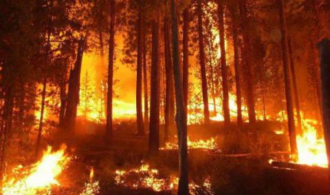България ще помага на Черна гора за горските пожари - 1