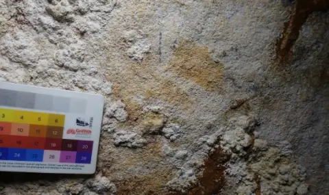 Откриха най-старите скални рисунки в света на индонезийски остров - 1