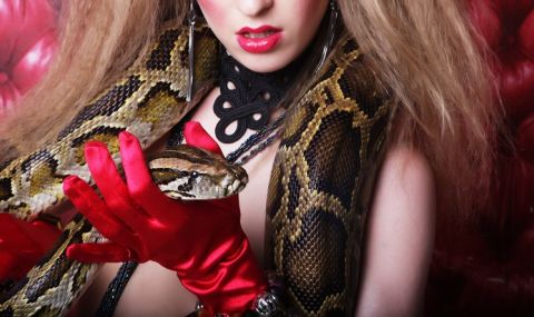 Забраниха използването на живи змии в кабарето "Мулен Руж" (ВИДЕО) - 1