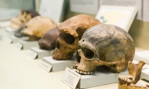 Scientists have reconstructed the face of one of the most ancient people from 315,000 years ago (VIDEO) - 1