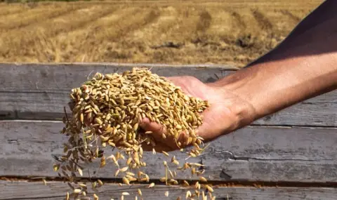 България и редица европейски държави настояват за мито при внос на украинско зърно - 1