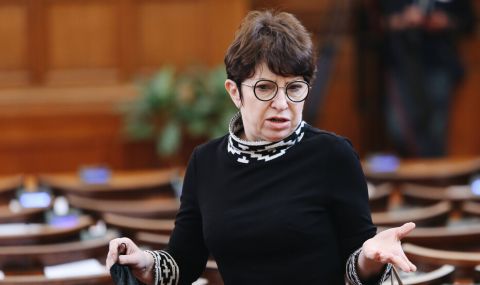 Рена Стефанова, ПП: Разчитаме на депутати със самостоятелно мислене - 1