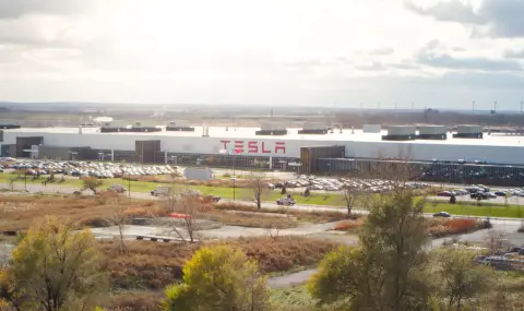 Дървеници „превзеха“ фабрика на Tesla - 1