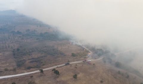 Обявиха частично бедствено положение в Свиленград и Тополовград заради пожарите в Сакар - 1