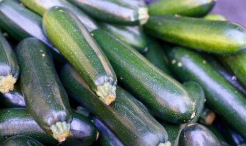 Русия вдигна забраната за турски тиквички и тикви - 1