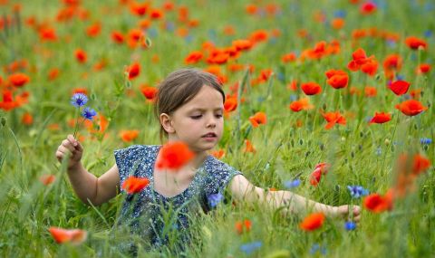 Променлива облачност, температурите падат - 1