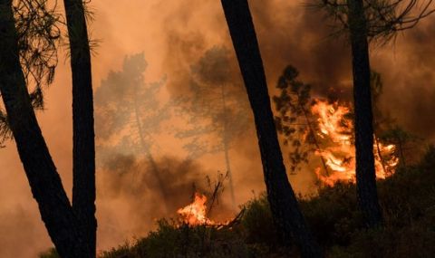 Огнен ад в Свиленградско: Горят 3 хиляди декара гори - 1