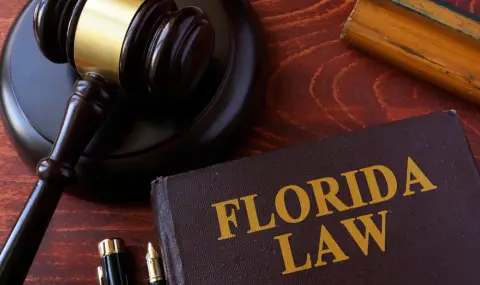 Florida Debating Mandatory Death Penalty for Illegal Immigrants  - 1