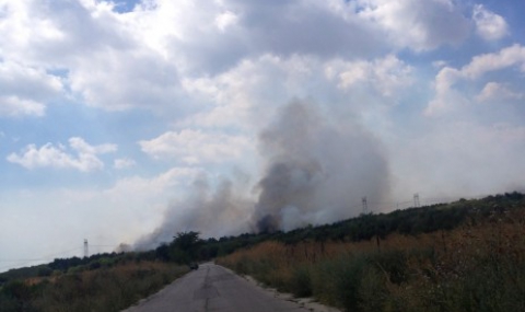 Локализиран е пожарът между Слънчево и Баново - 1