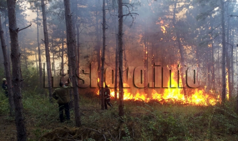 Пожари и в Хасковска област - 1