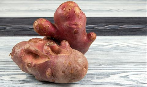 Тя си купи картофи от супермаркета и се втрещи - 1