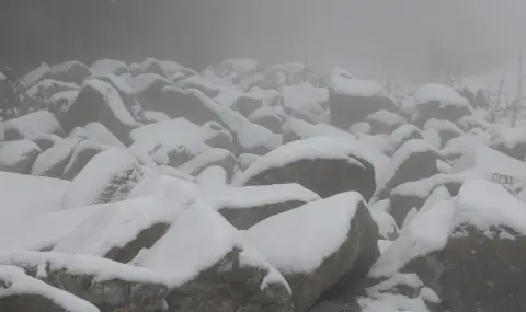 Затварят временно пътищата до Витоша заради ураганен вятър - 1