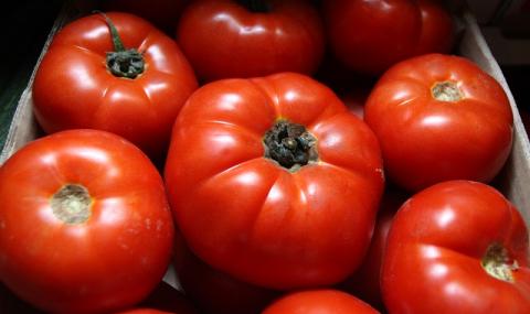Удрят нелегалния внос на домати - 1
