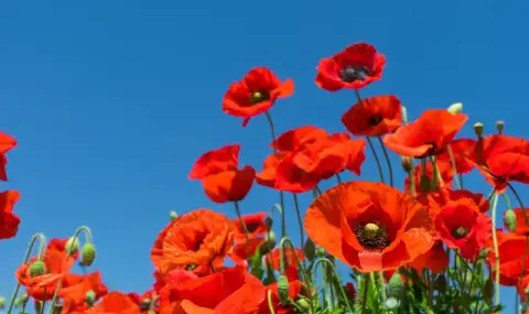 Weather today, forecast for Wednesday, May 27: Sunny, short-term precipitation in the afternoon in the south  - 1