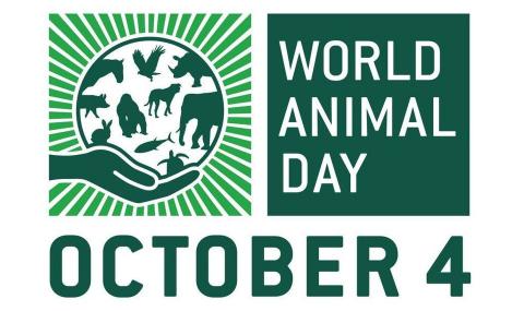 Отбелязват Световния ден на животните в Борисовата градина - 1