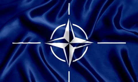Германия се обръща към НАТО след новината, че Навални е отровен с „Новичок” - 1