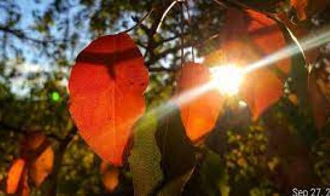 Слънчева събота - 1