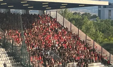 Сектор "Г": Време е някой да понесе своята отговорност, Златков и Нога са неубедителни - 1