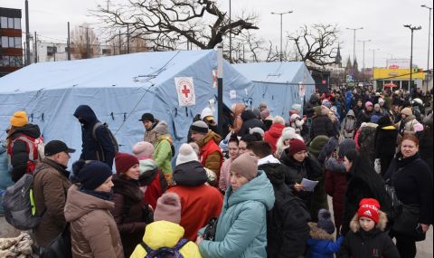 ООН: Около 8,3 милиона бежанци от Украйна се очакват до края на годината - 1