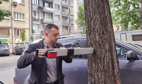Подменят опасните тополи в София с чинари - 1
