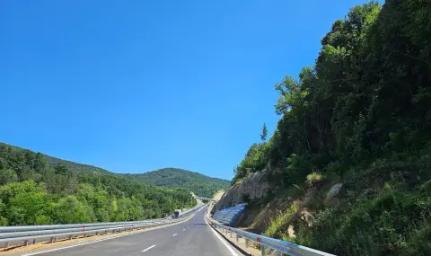 Николай Нанков: Трудно се наваксва 4 години лутане и безхаберие - 1