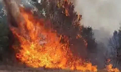 Сакар гори, огънят погълна къща в Тополовградско - 1
