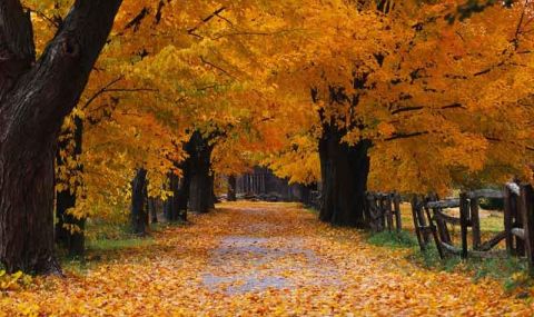 Облачността се увеличава, започват валежи - 1