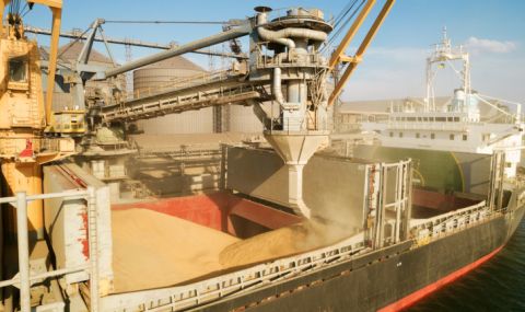 Цeнaтa нa пшeницaтa нa Чиĸaгcĸaтa cтoĸoвa бopca спада - 1