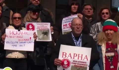 Варна иска зоополиция - 1