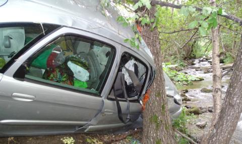 Трагедия! 20-годишен шофьор се заби в дърво и загина в Добричко - 1