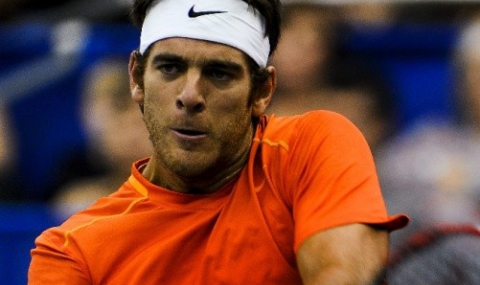 Дел Потро вдигна трофея в Ротердам - 1