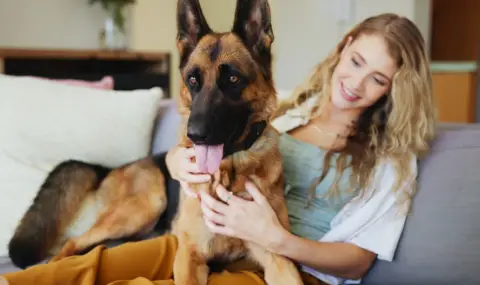 Немска овчарка надуши рак в стопанката си и ѝ спаси живота - 1