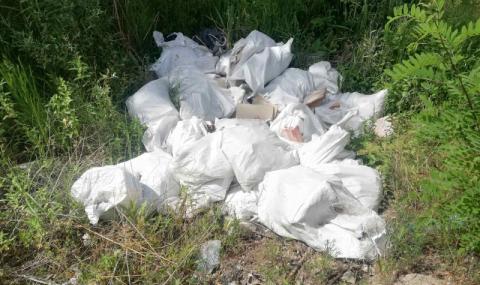 Издирват неизвестен, замърсил река Тополница  - 1