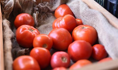 Ирак забрани турските домати - 1