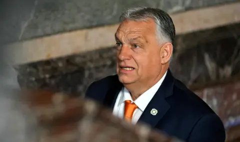 Alternative for Germany leader to meet Viktor Orban in Budapest  - 1