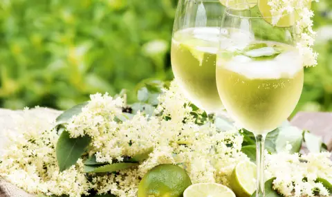 Рецепта на деня: Коктейл "Хюго" - 1