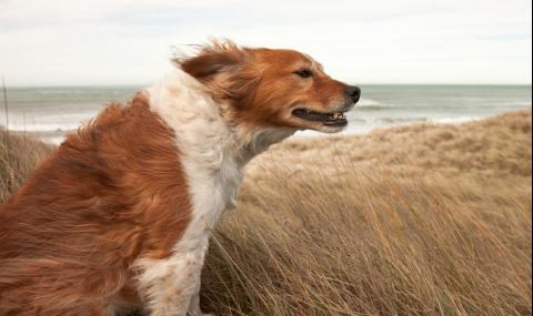 Ветровита събота, захлаждането продължава - 1
