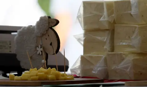 Бизнесът изпрати на властта възраженията си срещу законопроекта за веригата на доставки на храни - 1