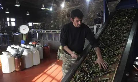 Заради Тръмп: гръцките производители на зехтин търсят нови пазари - 1