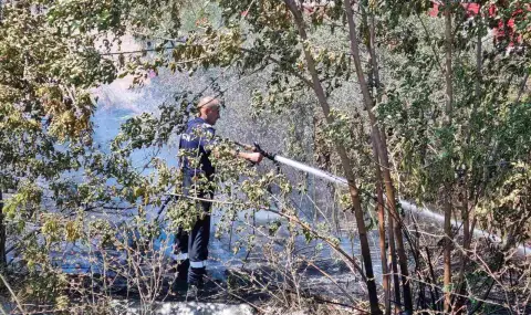 Пожар в природен парк "Рилски манастир", в района на връх Калин  - 1