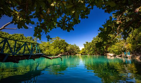 Държава регистрира първи случай на коронавирус - 1