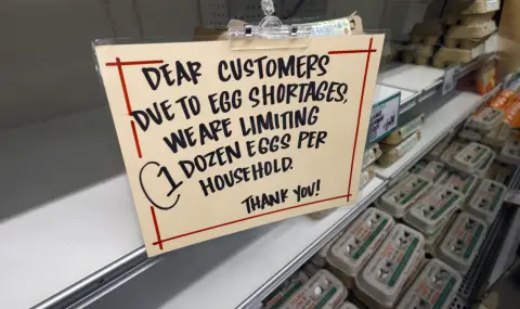 US asks Germany to increase egg supplies  - 1