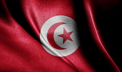 Тунис гласува на референдум нова конституция - 1